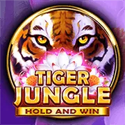 TOPBET Reward Path